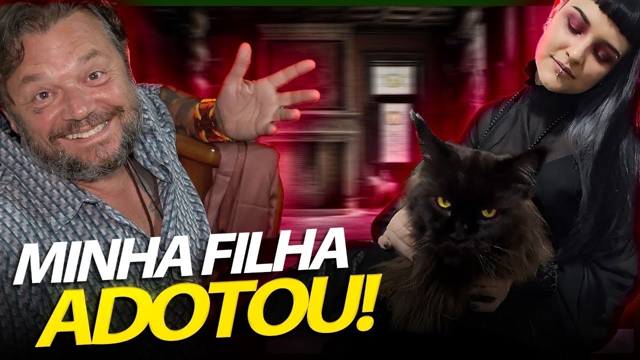 PRA ONDE VÃO OS MAINE COONS IDOSOS? | RICHARD RASMUSSEN
