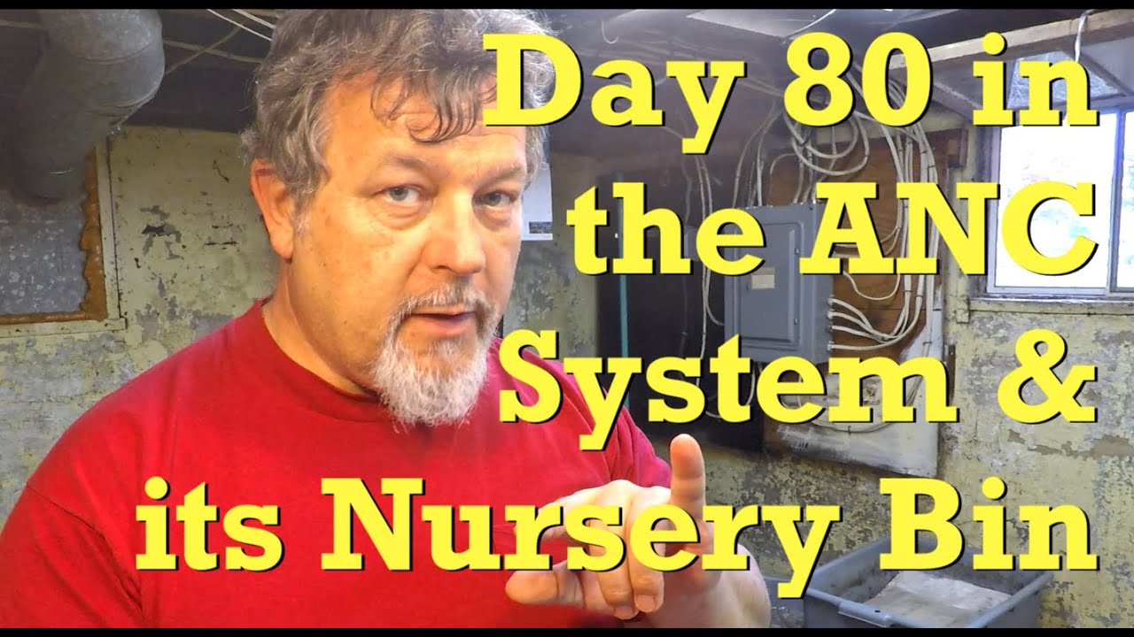 80-day ANC worm composting system & its cocoon nursery - vermicompost