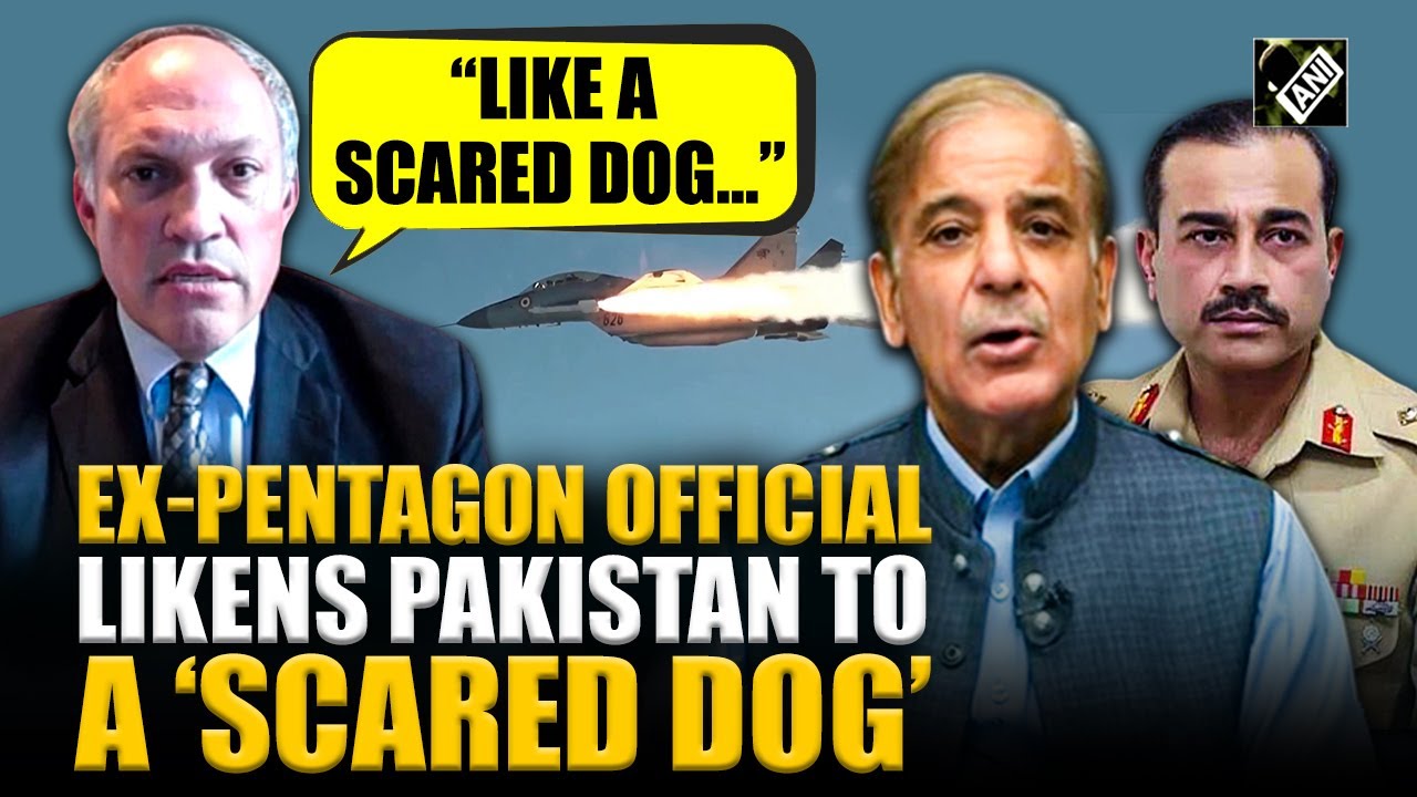 “Like a scared dog with tail between its legs…” Ex-Pentagon official Michael Rubin roasts Pakistan