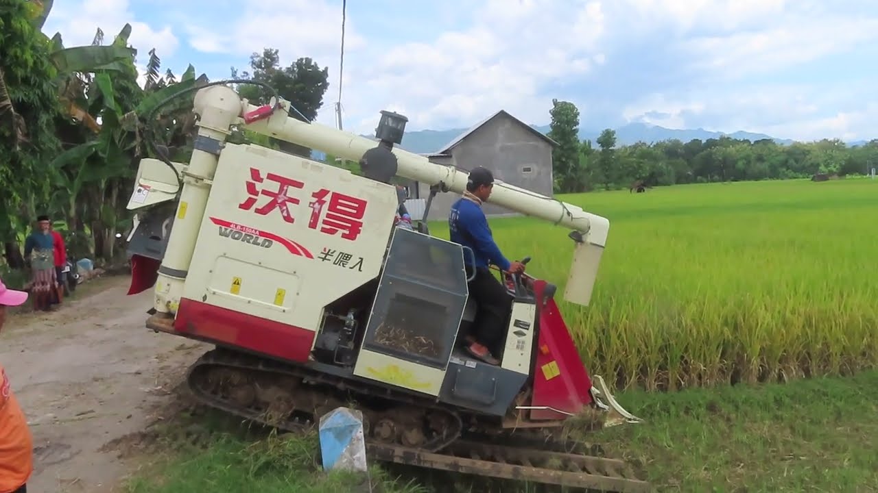 KOMBI SAWAH MODERN ALA CINA JEPANG KOREA 2026