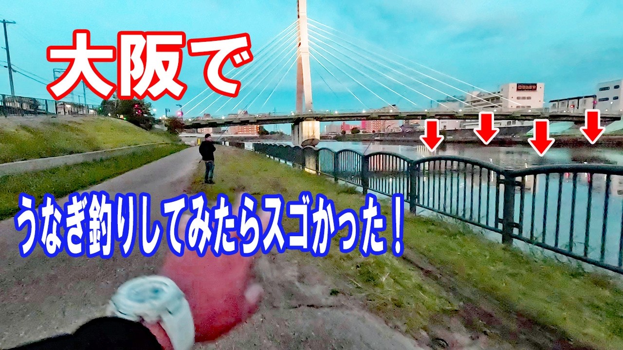 大阪の川でうなぎ釣りしてみた結果が凄かった！　【うなぎ釣り】
