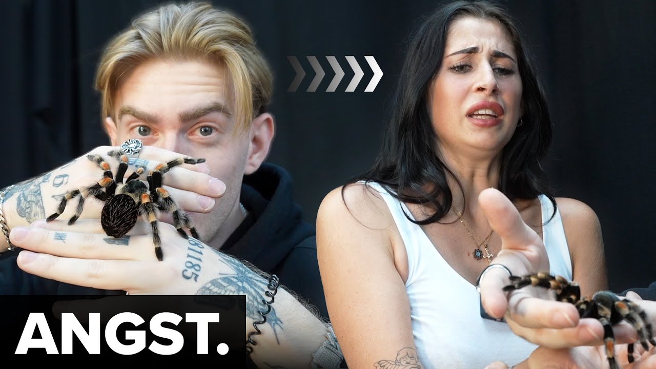 Angst vor Spinnen (Stelle dich deiner Angst!)🕷