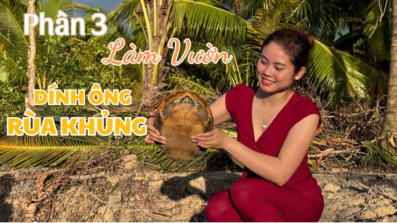 Phần 3 Làm Vườn Dính Ông Rùa Khủng