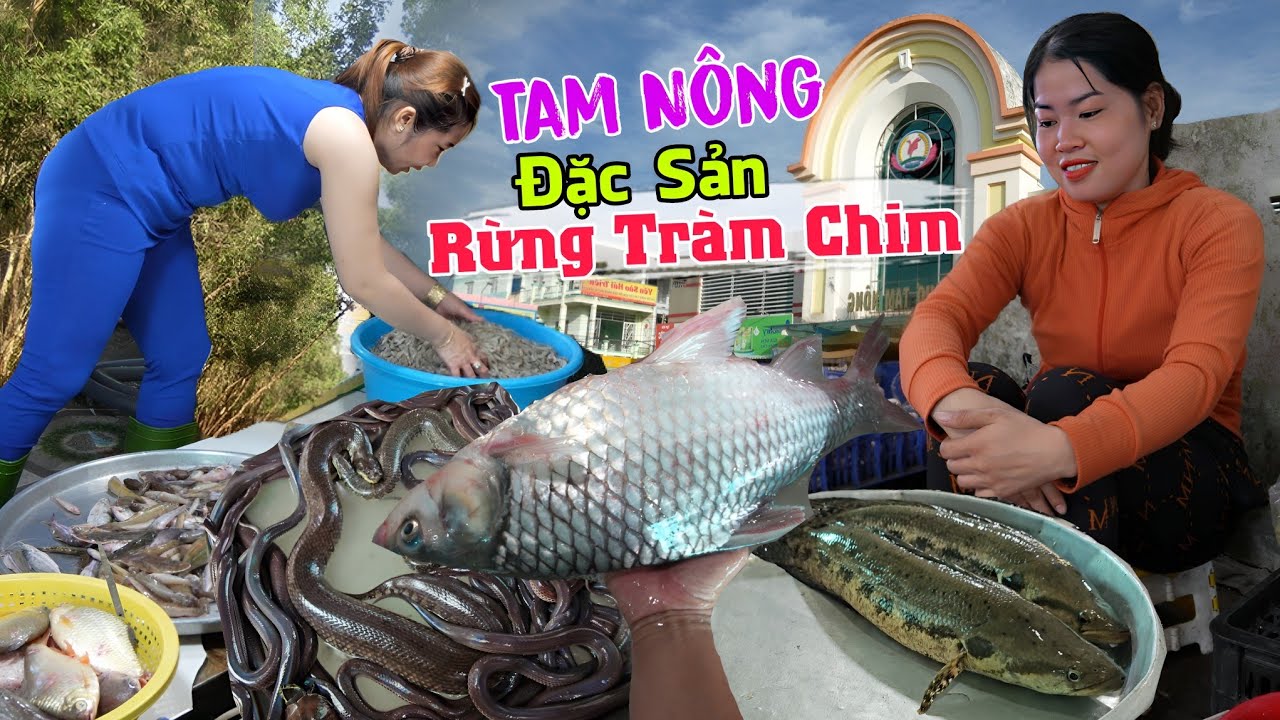 Chợ xứ rừng Tràm Chim - Bán nhiều Rắn Chim Chuột, cá đồng ở Chợ Tam Nông
