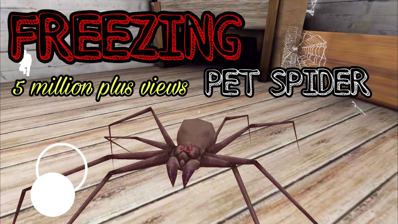 GRANNY - FREEZING PET SPIDER | GAMEPLAY IOS,ANDROID