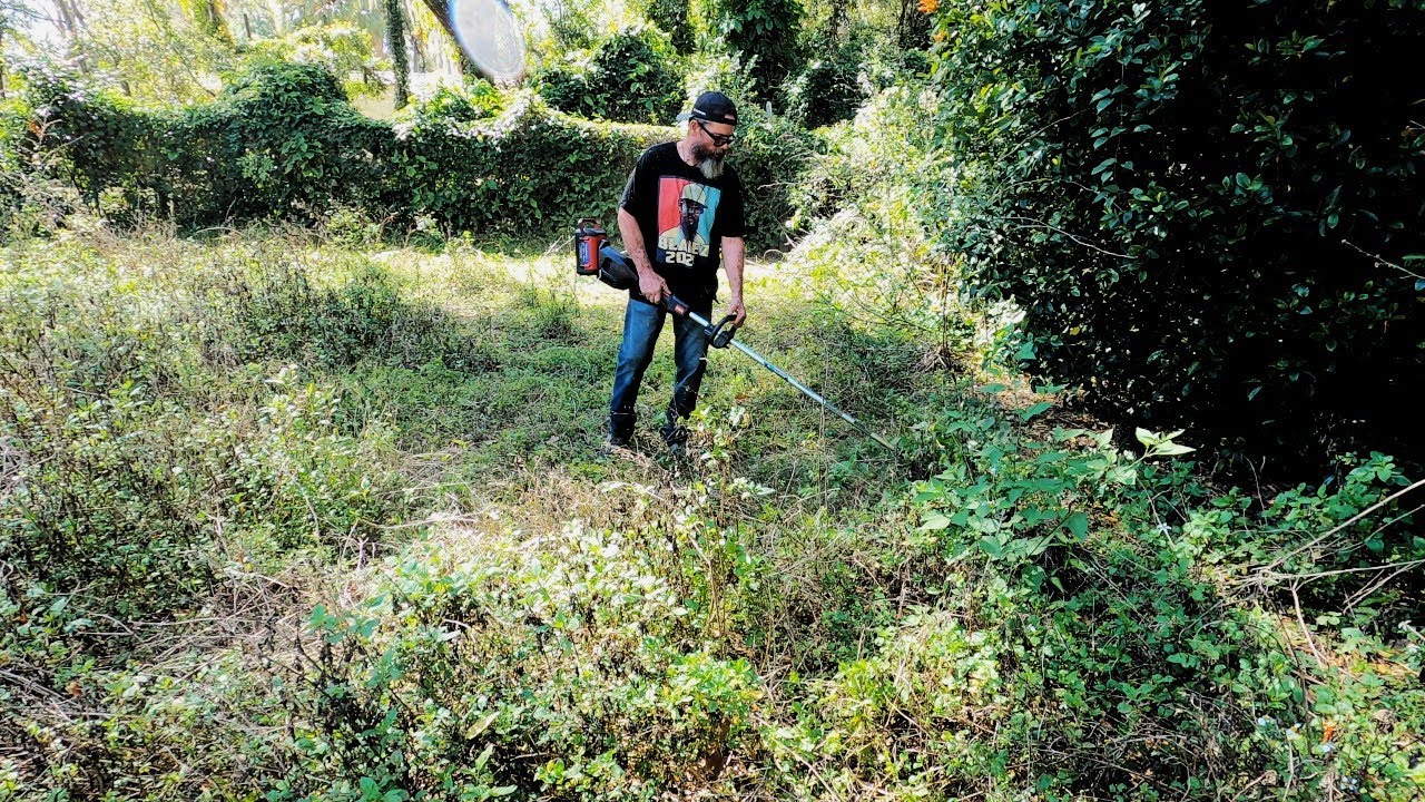 I TACKLED these CRAZY WILD VINES for a FAN and her family