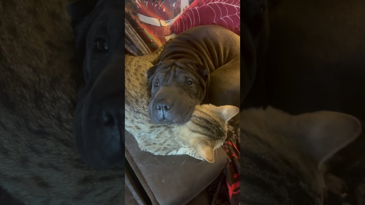 Best Buds