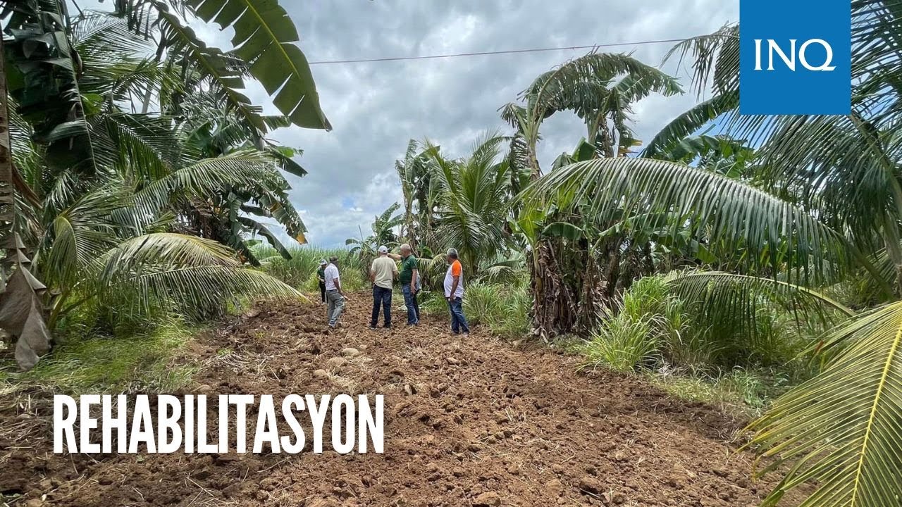 PCA pinagtatanim ni Pangulong Marcos ng 100 milyong puno ng niyog | Chona Yu