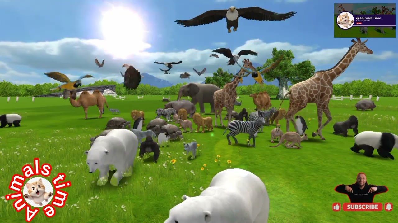 wild animals, animals cage game, kindergarten animals book, animals documentary, jangal book 