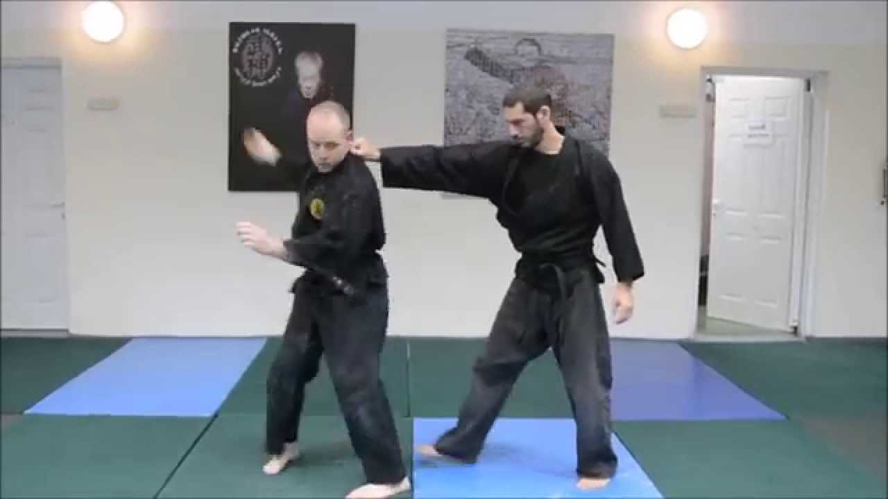 Bujinkan Ninjutsu Israel - Shihan Miky Rosner, Dec2014