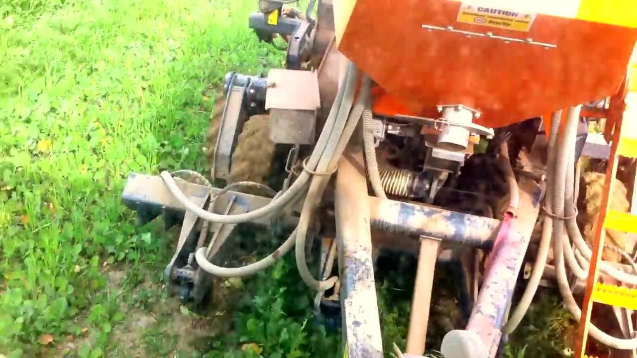 Mzuri Pro-til  -  siew pszenicy ozimej bezpośrednio w mulcz. Claas Arion