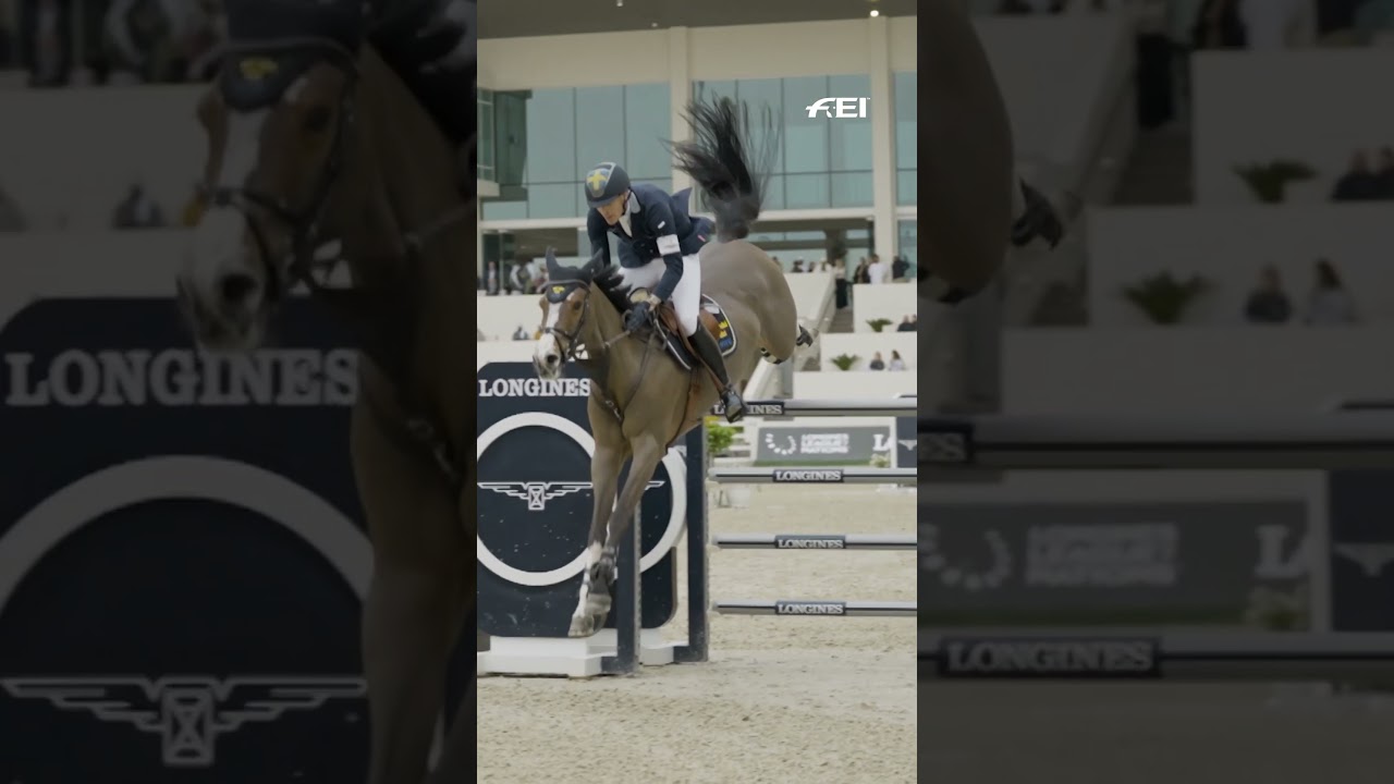 When you jump higher with your horse than some people are tall 👀😲
