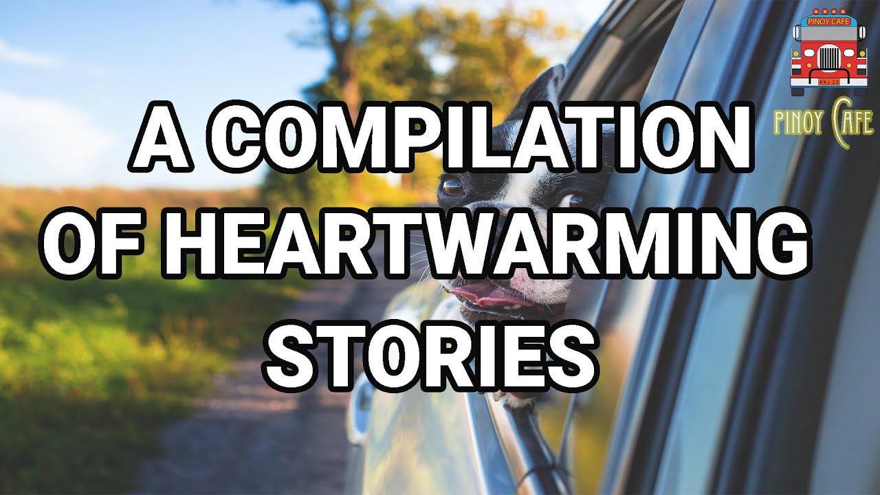 A Compilation of Heartwarming Stories