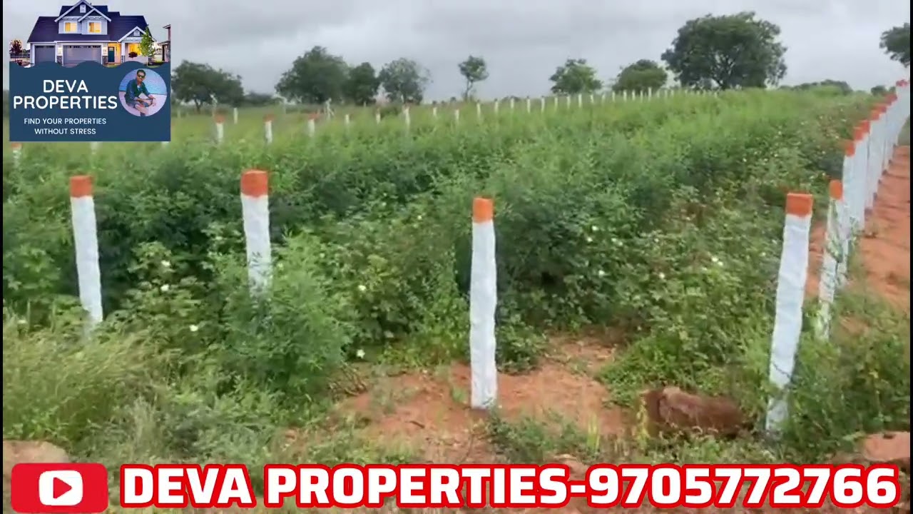 Nagarjuna Sagar Highway Commercial Road Bit 3 Acers Land For Sale KondaMallepally,Nalgonda #PN_830