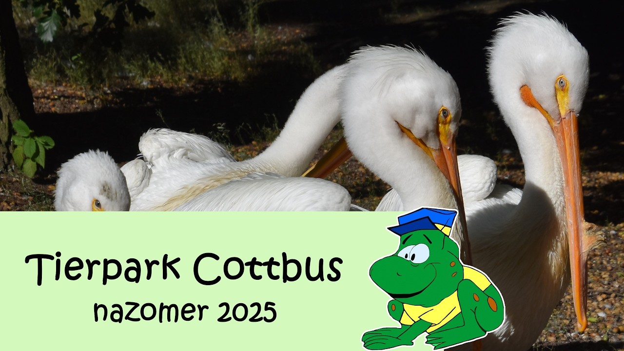 Tierpark Cottbus, nazomer 2025