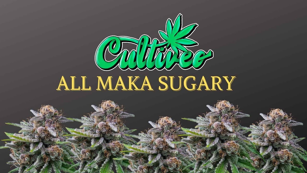 CULTIVEO ALL MAKA SUGARY