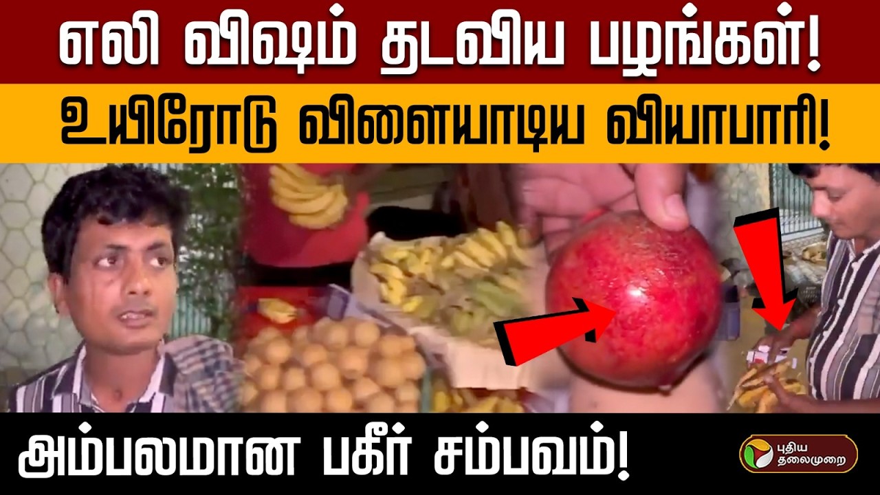 பழங்களை அப்படியே சாப்பிடுகிறீர்களா? பழங்களை வாங்குவதற்கு முன் இதைச் செக் பண்ணுங்க! | PTD