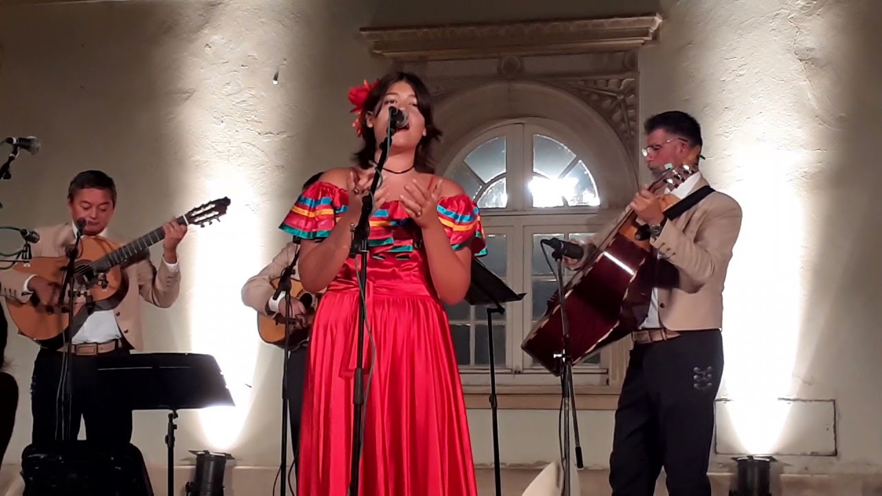 Buenos Dias Paloma Blanca Amadeo2021