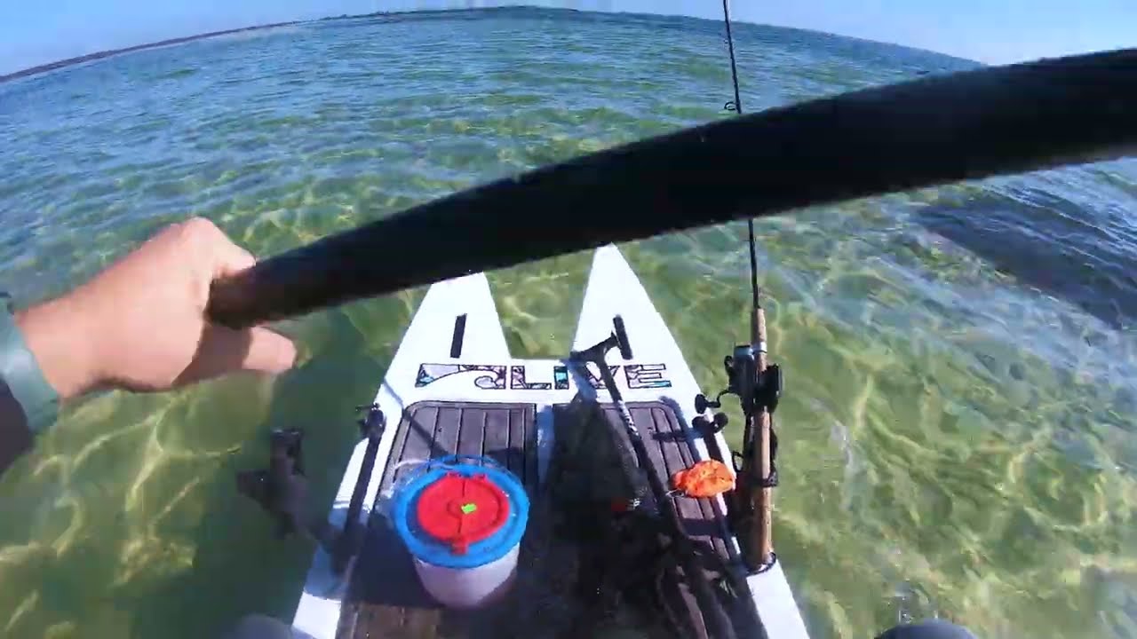 Christmas Eve Paddle Sesh