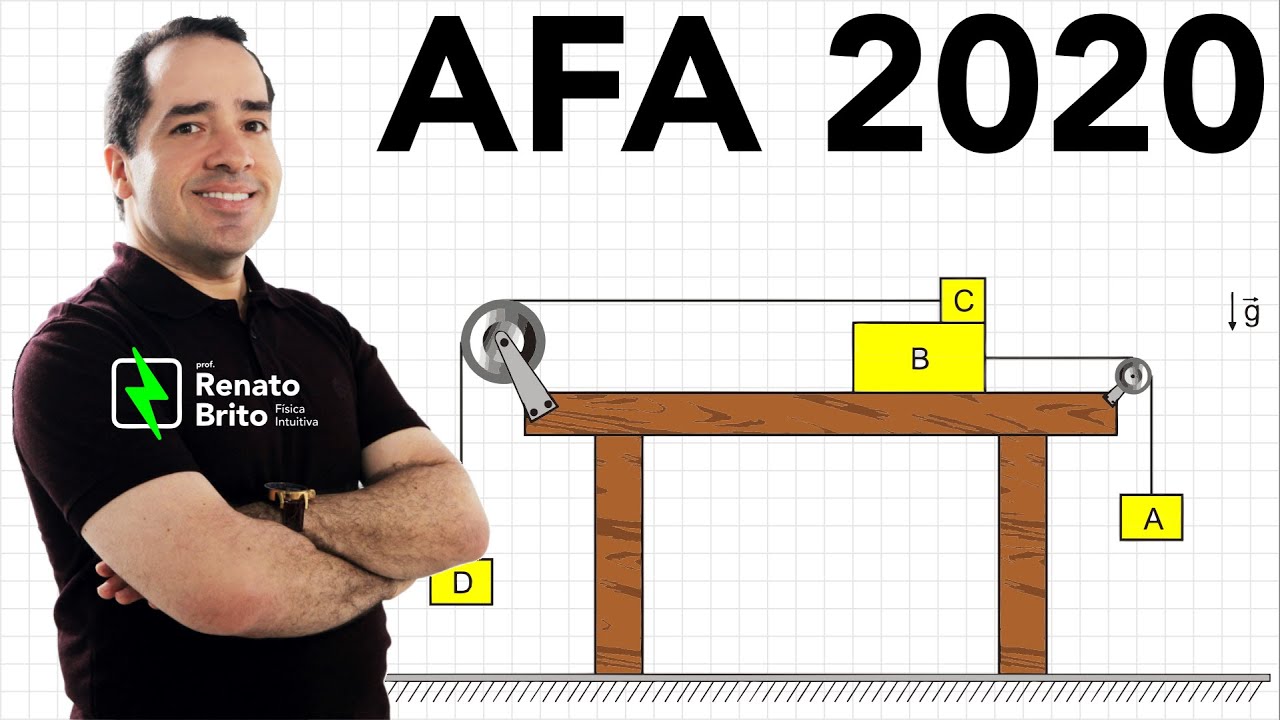 AFA 2020 | Física | A figura a seguir, em que as polias e os fios são ideais, ilustra uma montagem