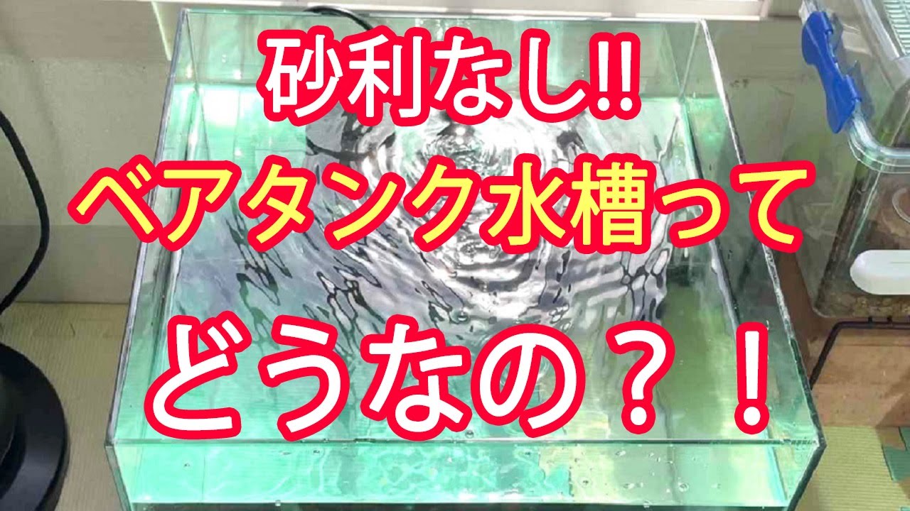 ベアタンク水槽×スポンジフィルターで金魚を育ててみた結果…