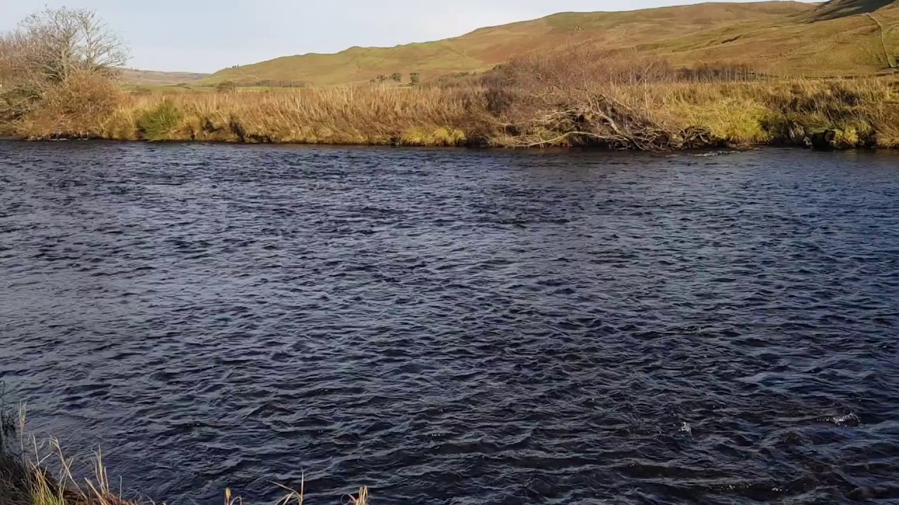 Ettrick salmon pt 2