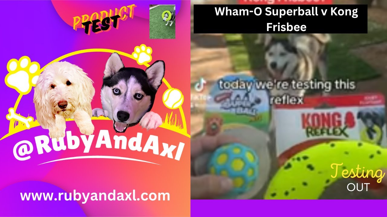 Which toy will Axl like more: Wham-o ball or Kong Frisbee? #dogtoys #productreview #trending #dogs