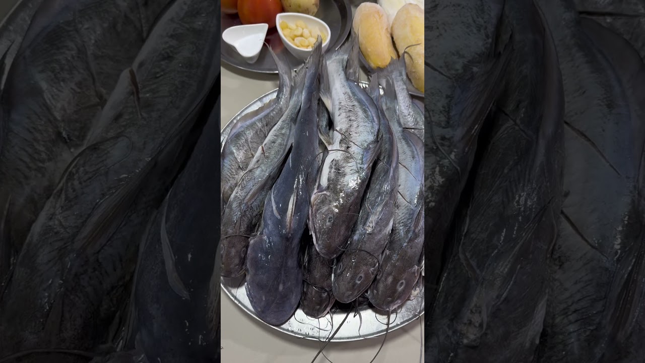 ElCapaz #PescadoDeR&iacute;o #SaborLlanero #CocinaTradicional #DelR&iacute;oALaMesa #SaboresConHistoria 🐟✨