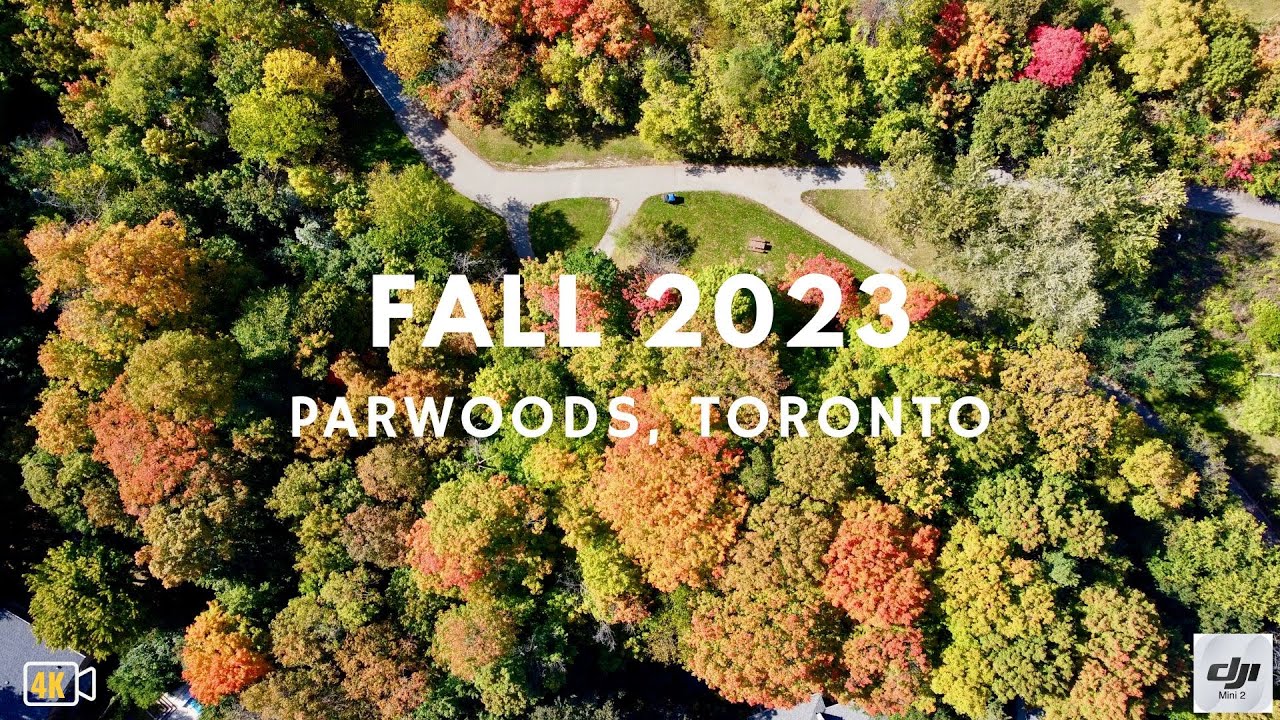 Fall 2023 at Parkwoods, Toronto [4K Drone Video] | DJI Mini 2