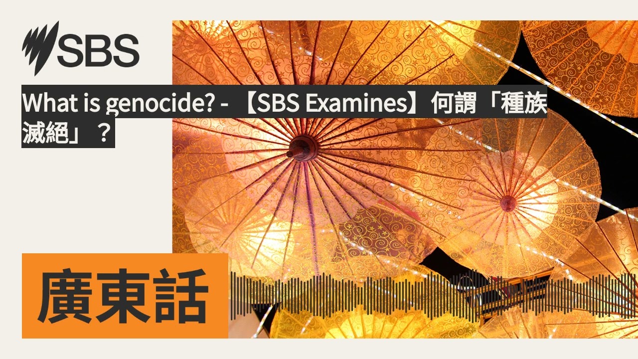 何謂「種族滅絕」？ | SBS Examines | SBS Cantonese - SBS廣東話節目