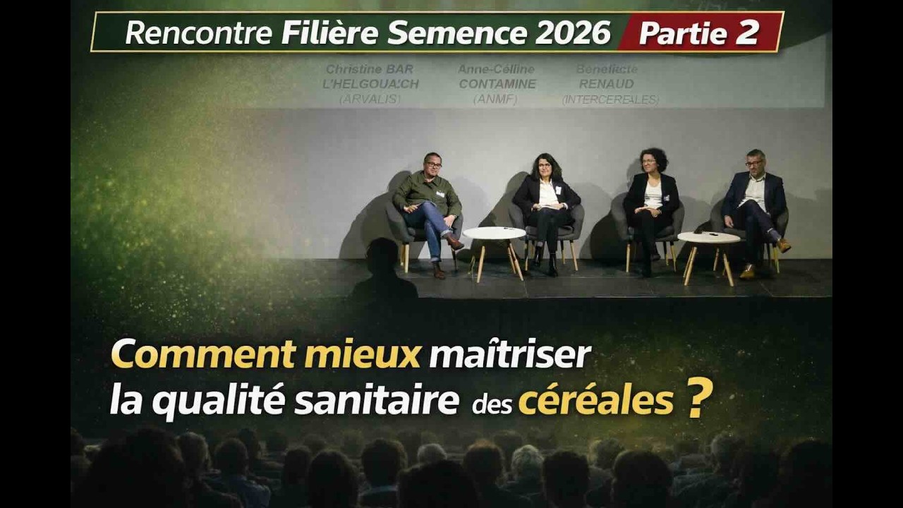 Comment mieux maîtriser la qualité sanitaire des céréales ?