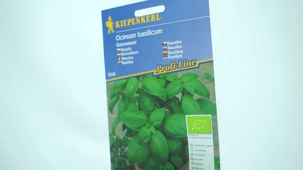 Bazalka Genoveser BIO