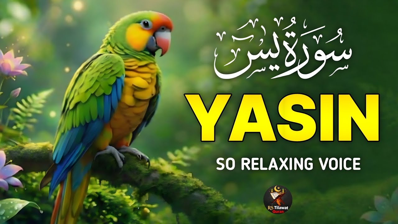 Surah Yasin (Yaseen)سورة يس | Full With Arabic Text | Sheikh Alaa Aqel | Beautiful Tilawat 