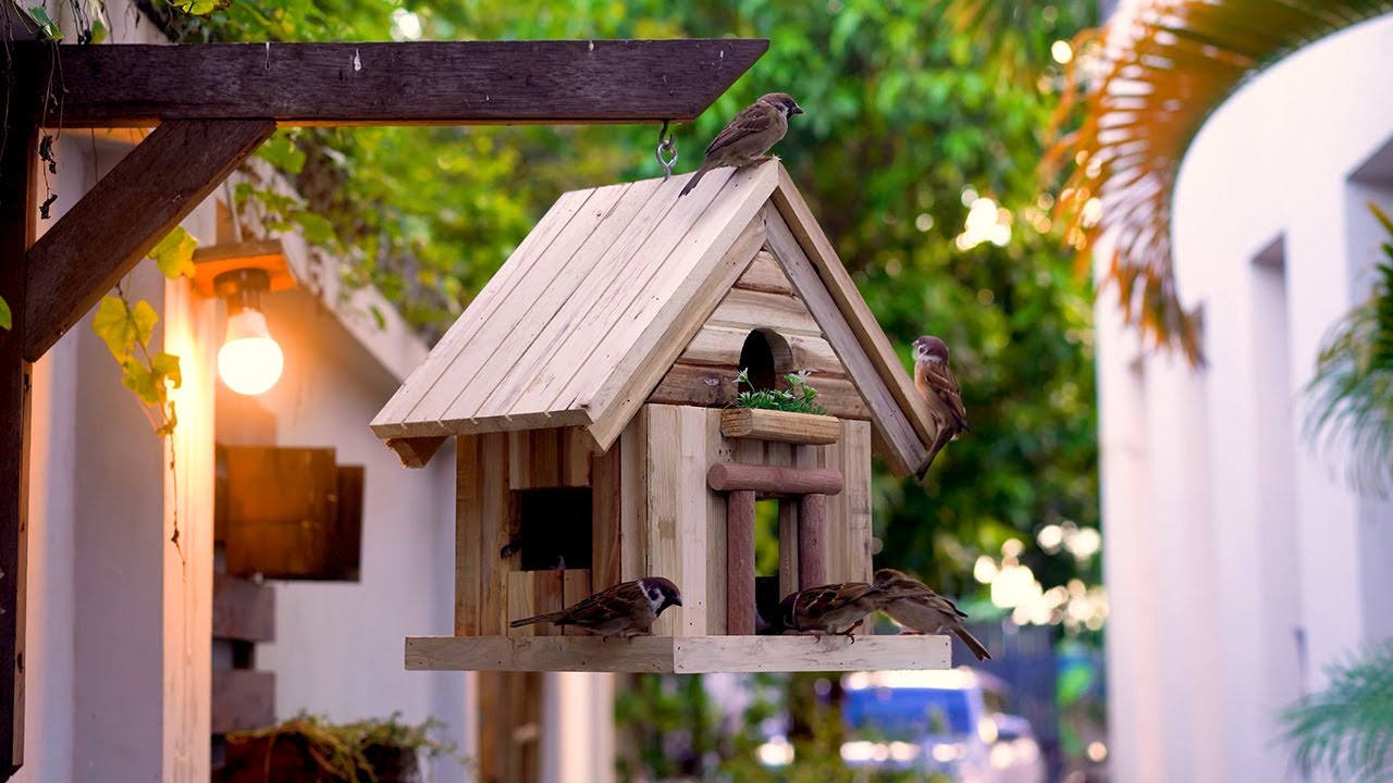 How To Make DIY Wooden Bird Feeder From Old Pallets