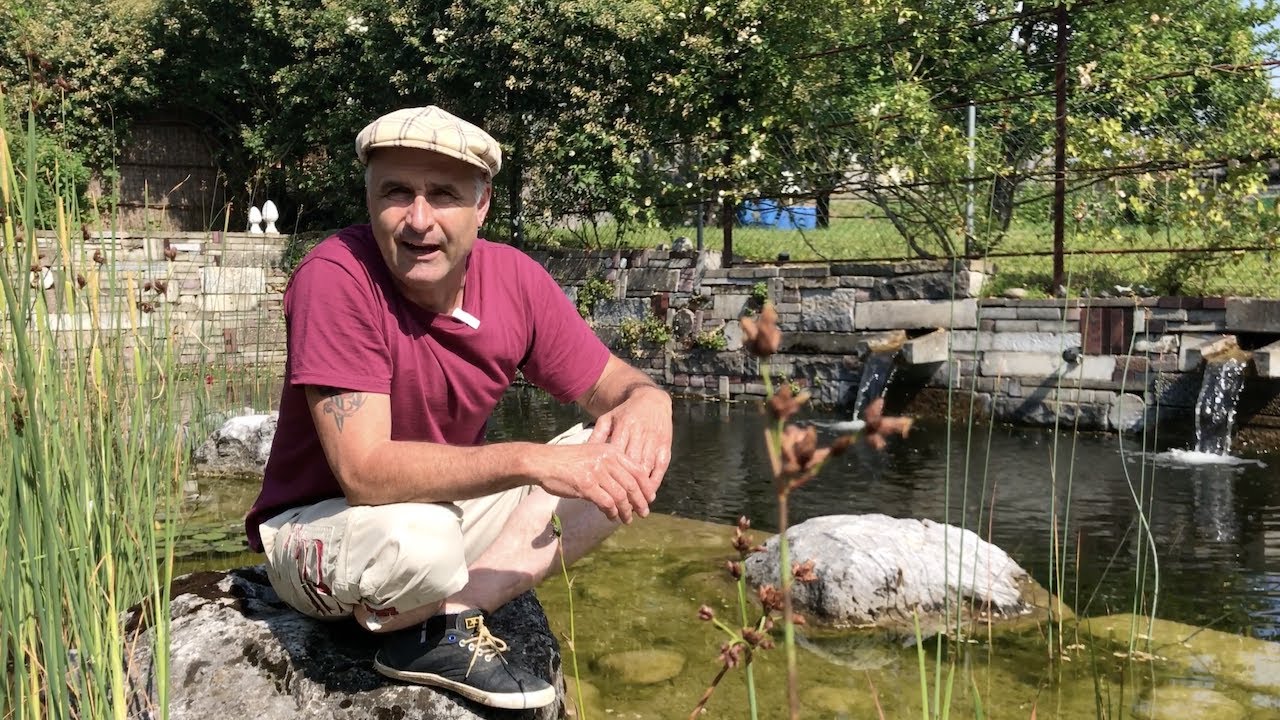 Badeteiche für Nixen und Freischwimmer