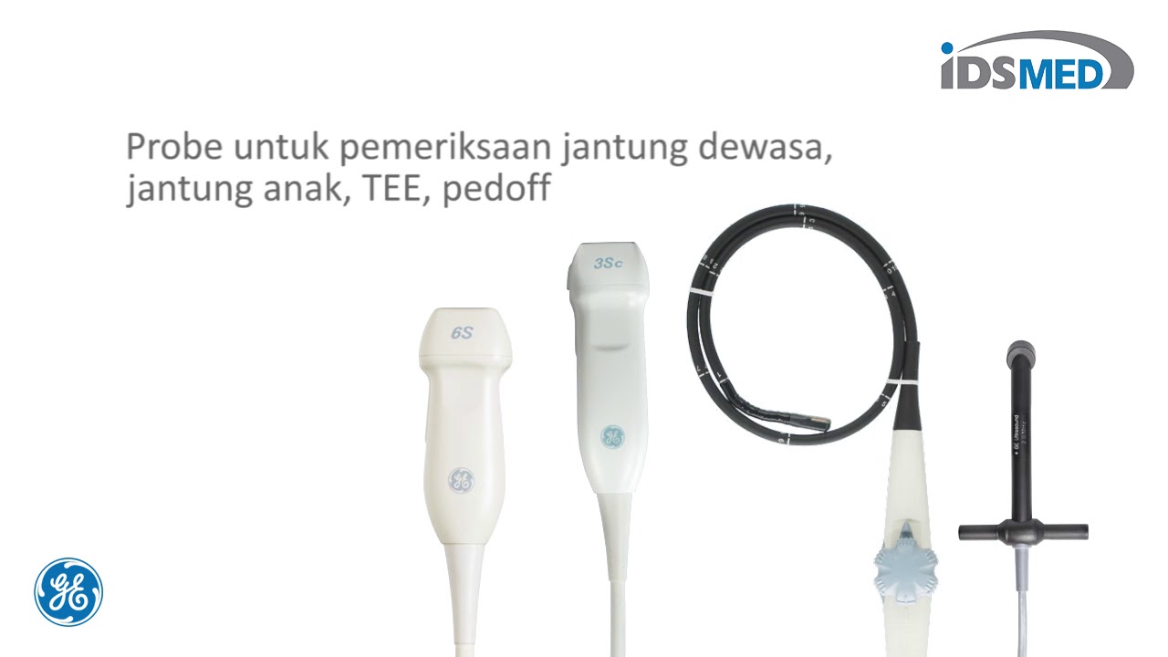 GE | Vivid T8