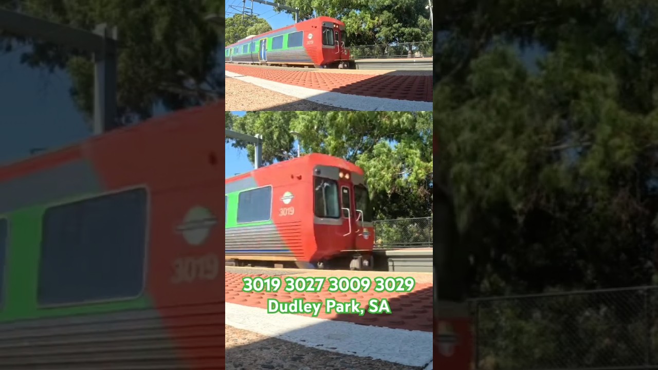Adelaide Metro #3019 + #3027 + #3009 + #3029 transfer at Dudley Park #train #seb #shorts #trains #4u