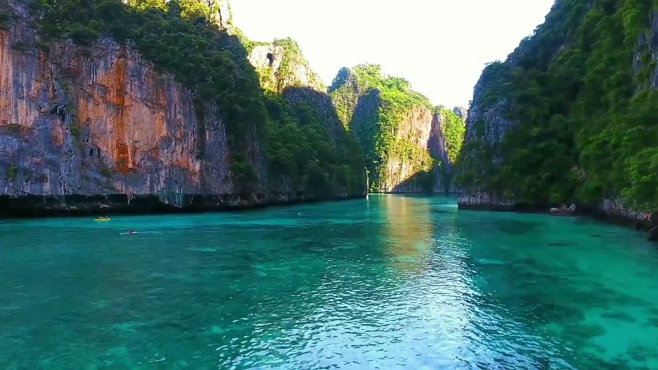 🎼 Beautiful Nature and Relaxing music | Short | Relax | Stress relief |