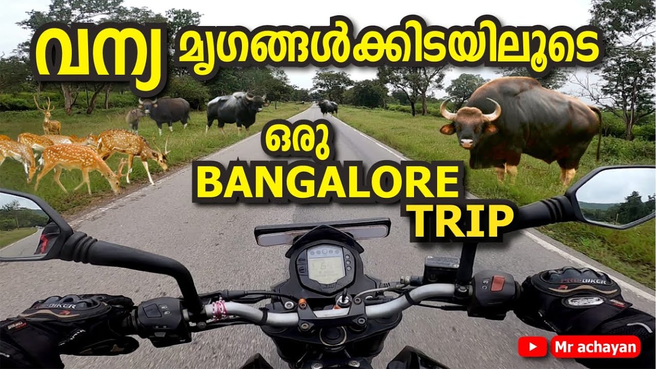 Kerala to Bangalore. ഭന്തീപൂരിലൂടെയുള്ള  സാഹസിക യാത്ര| Mr achayan