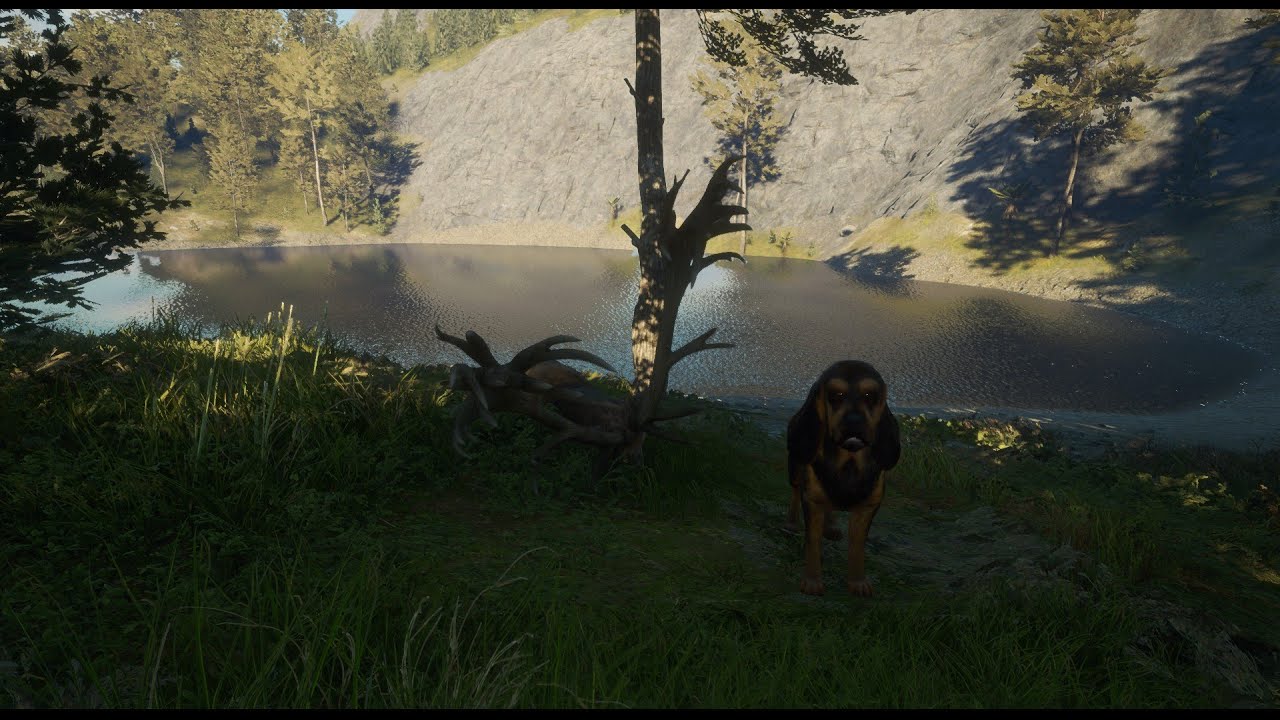 Diament Jeleń szlachetny The Hunter Call of The Wild#10