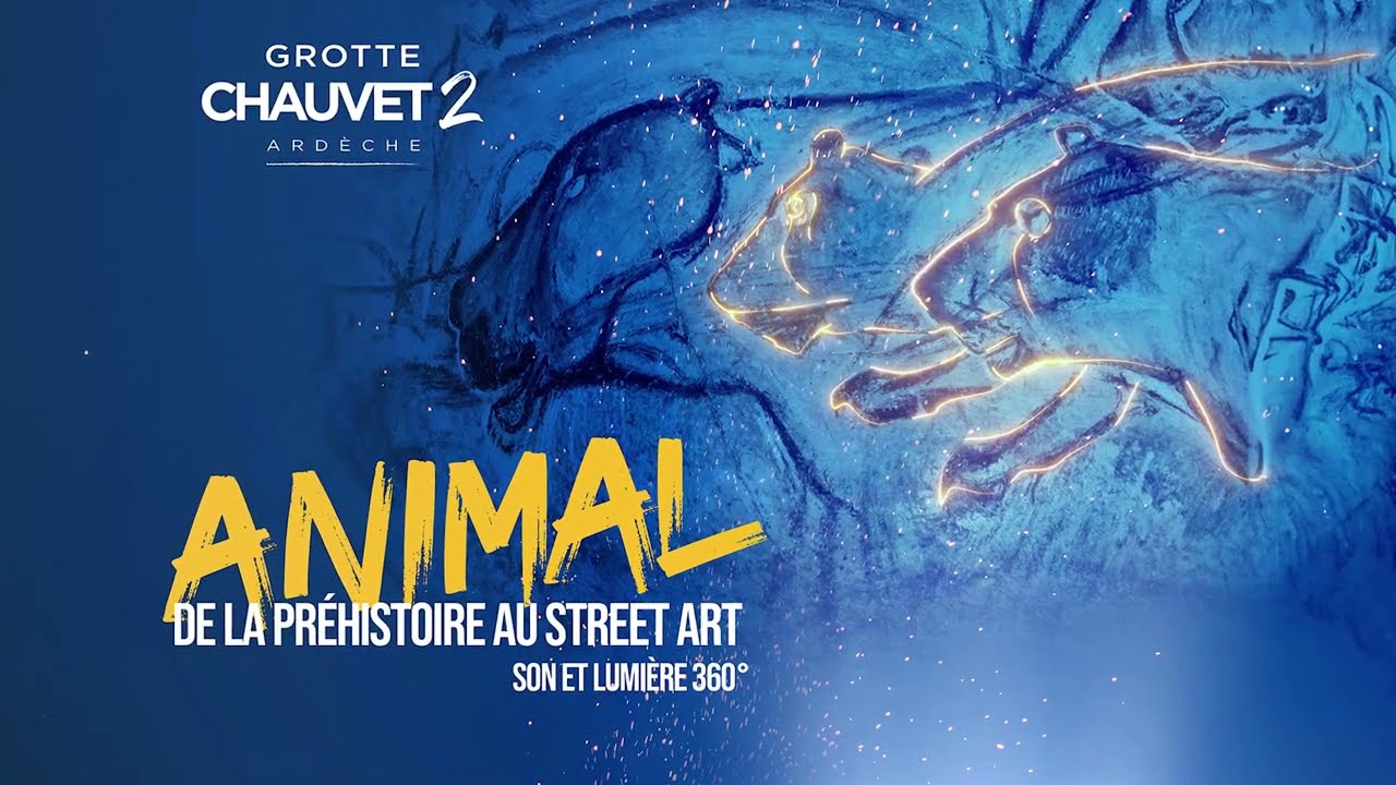 Grotte Chauvet 2 - Son et Lumières Animal