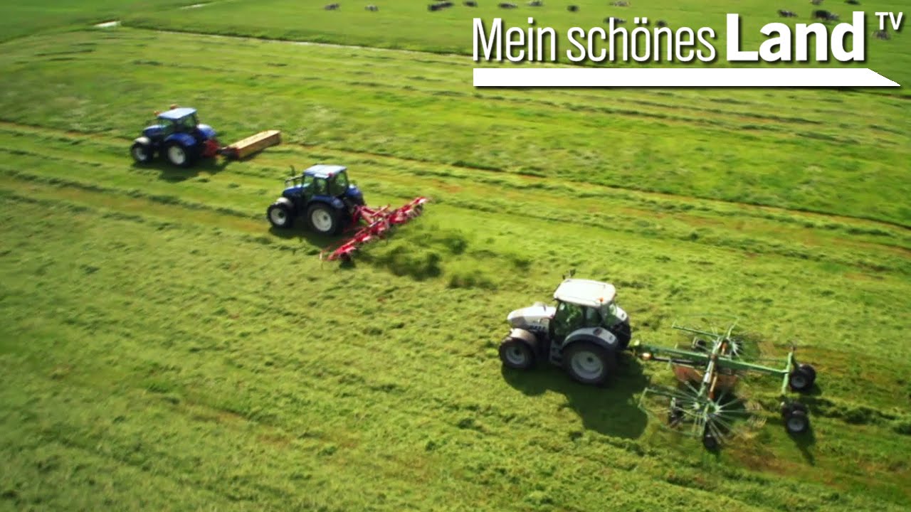 Treckerfahren zur Heuernte in Niedersachsen - abmähen, kreiseln, schwadern