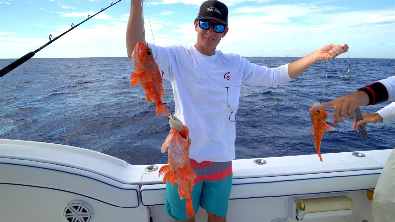 UNFAIR Fishing Rig... Catch Clean Cook - Blackbelly Rose Fish (Deep Drop)