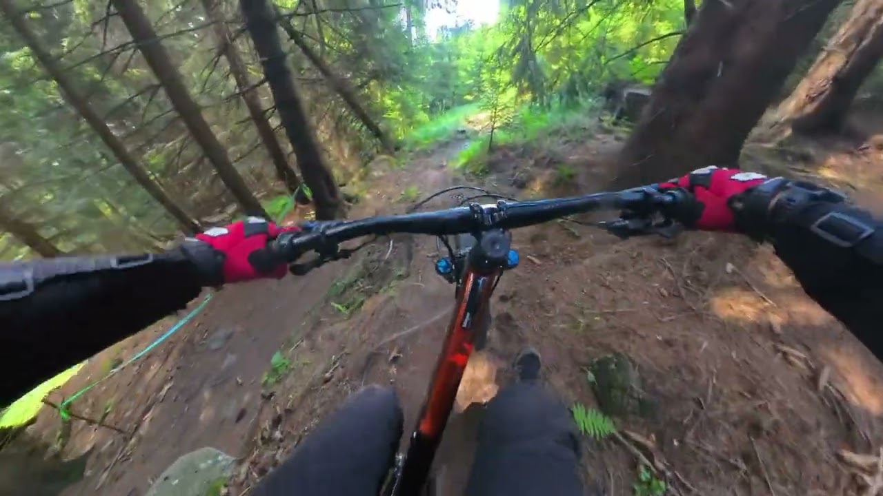 Trailpark Plesivec | Ein bisschen Daniela und ein bisschen Niki Enduro | Erzgebirge Vlog 17