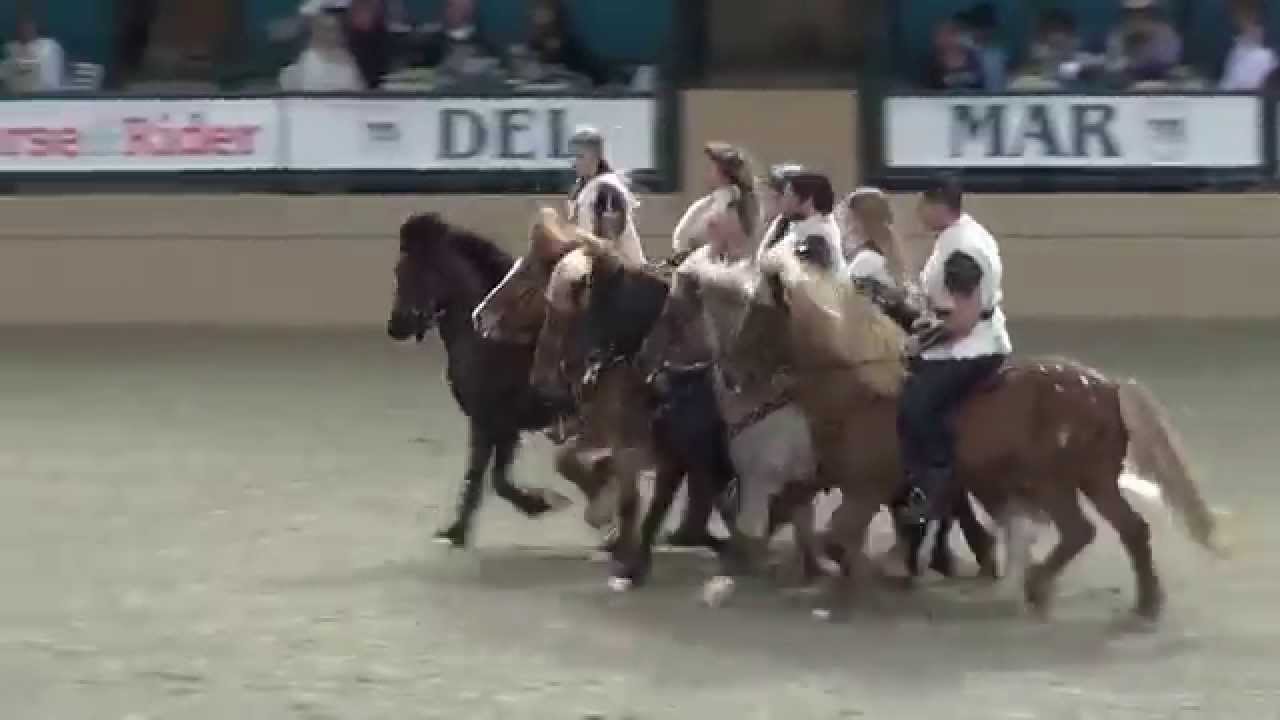 Knights of Iceland  - Night of the Horse 2015 - Del Mar National Horse Show