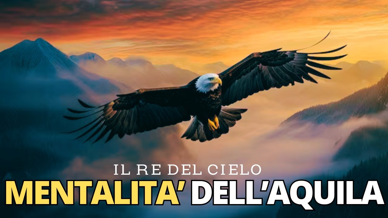 Lezioni di Vita dall'Aquila: Raggiungere le Vette