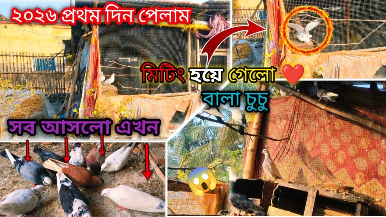 বালা আর চুচুর বেডিং হয়ে গেলো আজ।😱😱
