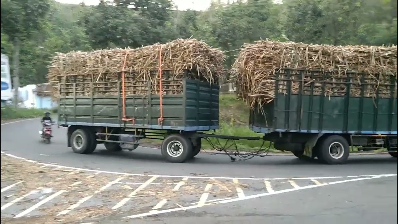Driver muda skill Dewa muat tebu full ngebut ditikungan tajam jalur tengkorak lahor k.kates