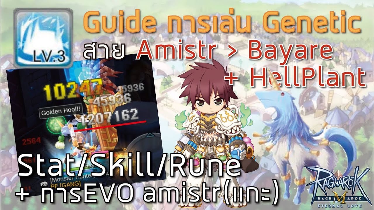 [ROM] ไกด์ Genetic สาย Amirstr(Homunculus) Skill Item Rune!! (Genetic Guide) Ragnarok m