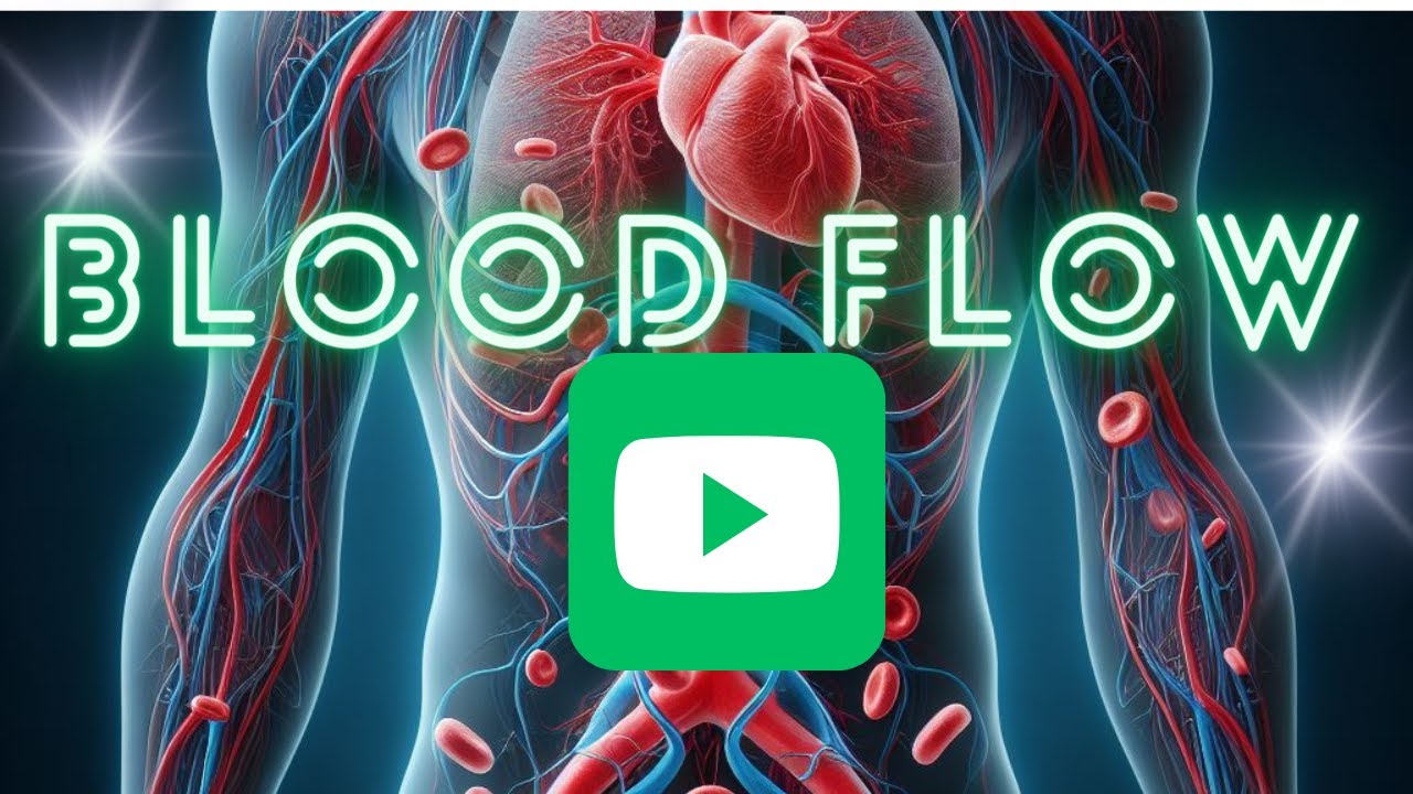 12 Superfoods to Boost Blood Flow and Circulation Naturally